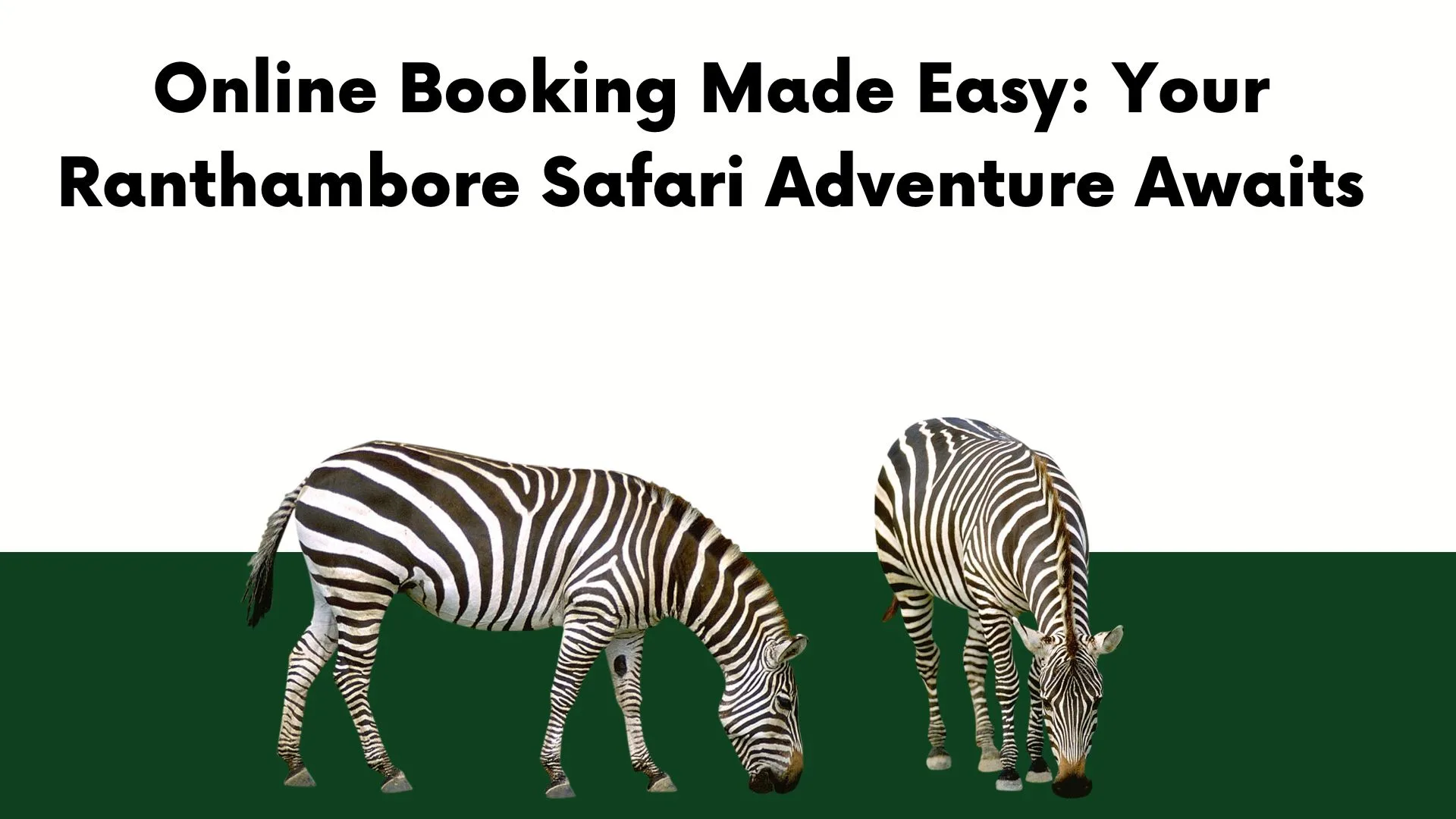 Online Booking Made Easy: Your Ranthambore Safari Adventure Awaits